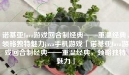 诺基亚Java游戏回合制经典——重温经典，领略独特魅力java手机游戏「诺基亚Java游戏回合制经典——重温经典，领略独特魅力」