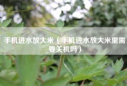 手机进水放大米（手机进水放大米里需要关机吗）