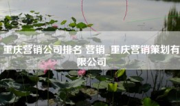 重庆营销公司排名 营销_重庆营销策划有限公司