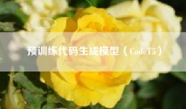 预训练代码生成模型（CodeT5）