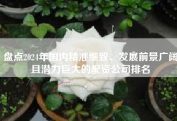 盘点2024年国内精准细致、发展前景广阔且潜力巨大的配资公司排名