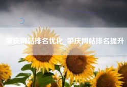 肇庆网站排名优化_肇庆网站排名提升