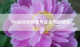 SEO优化如何提升企业网站排名