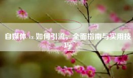 自媒体 vz 如何引流，全面指南与实用技巧
