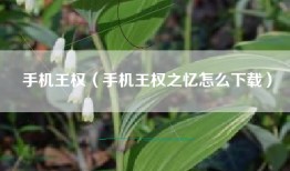 手机王权（手机王权之忆怎么下载）