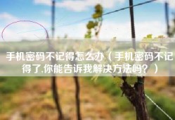 手机密码不记得怎么办（手机密码不记得了,你能告诉我解决方法吗？）