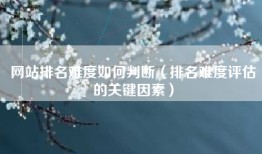 网站排名难度如何判断（排名难度评估的关键因素）