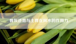 骨灰造葬与土葬在风水的作用力