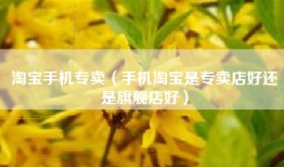 淘宝手机专卖（手机淘宝是专卖店好还是旗舰店好）