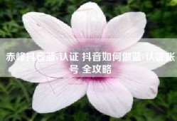 赤峰抖音蓝v认证 抖音如何做蓝v认证账号 全攻略