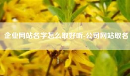 企业网站名字怎么取好听-公司网站取名