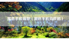 黑色手机背景（黑色手机背景图）
