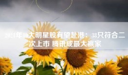 2021年10大明星股有望赴港：38只符合二次上市 腾讯成最大赢家