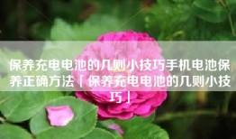 保养充电电池的几则小技巧手机电池保养正确方法「保养充电电池的几则小技巧」