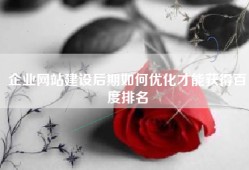 企业网站建设后期如何优化才能获得百度排名