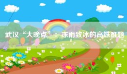 武汉“大晚点”：冻雨致冰的高铁难题