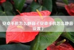 安卓手机怎么静音（安卓手机怎么静音设置）