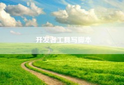 开发者工具写脚本