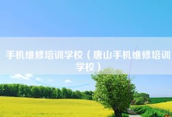 手机维修培训学校（唐山手机维修培训学校）