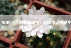 揭秘DNF手游漏洞真相，玩家热议的安全隐患与 ＊＊＊ 回应