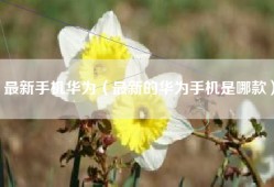 最新手机华为（最新的华为手机是哪款）