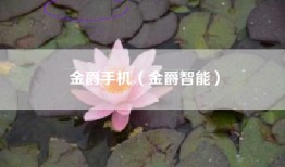 金爵手机（金爵智能）