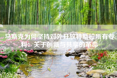 马斯克为何坚持对外开放特斯拉所有专利：关于创新与共享的革命