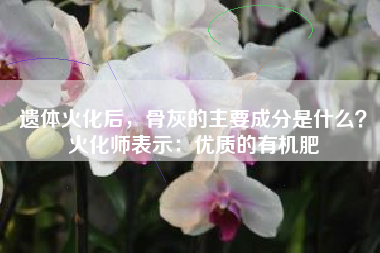 遗体火化后，骨灰的主要成分是什么？火化师表示：优质的有机肥