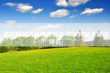 嘉兴网站优化快速排名(嘉兴网站关键词排名)