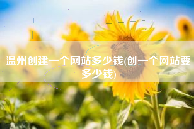 温州创建一个网站多少钱(创一个网站要多少钱)