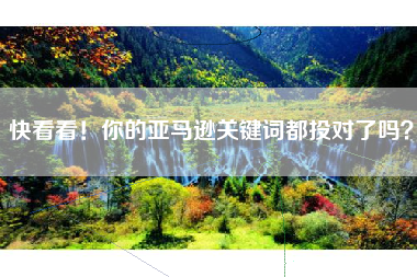 快看看！你的亚马逊关键词都投对了吗？