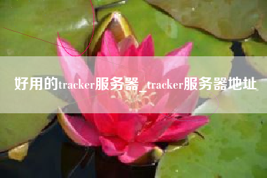 好用的tracker服务器_tracker服务器地址