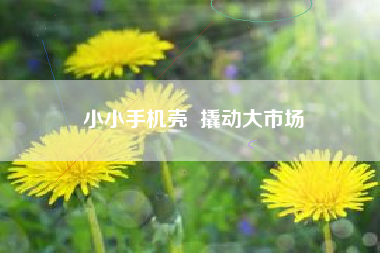 小小手机壳  撬动大市场