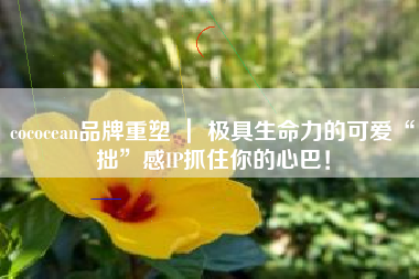 cococean品牌重塑 ｜ 极具生命力的可爱“拙”感IP抓住你的心巴！