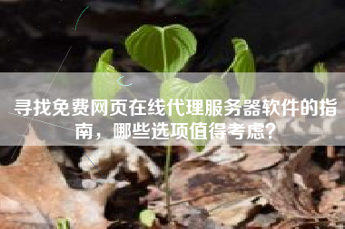 寻找免费网页在线代理服务器软件的指南，哪些选项值得考虑？