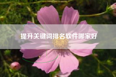 提升关键词排名软件哪家好