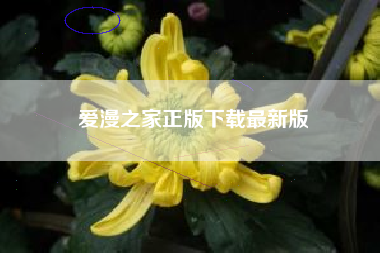 爱漫之家正版下载最新版