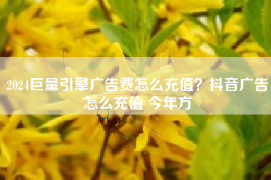 2024巨量引擎广告费怎么充值?抖音广告怎么充值 今年方 2024巨量引擎广告费怎么充值?抖音广告怎么充值 今年方