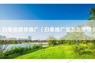白象新媒体推广（白象推广宝怎么使用）