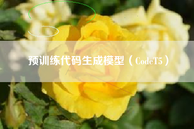 预训练代码生成模型（CodeT5）