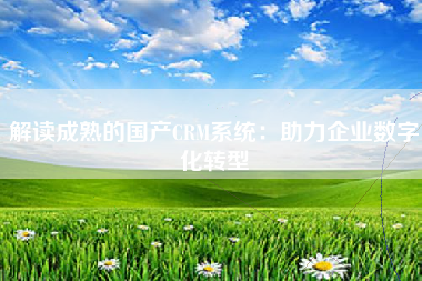 解读成熟的国产CRM系统：助力企业数字化转型