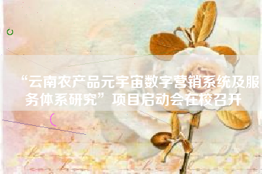 “云南农产品元宇宙数字营销系统及服务体系研究”项目启动会在校召开