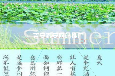 吉安泰安网站推广