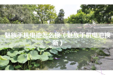 魅族手机电池怎么换（魅族手机电池换新）