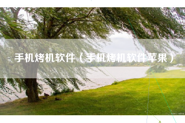 手机烤机软件（手机烤机软件苹果）