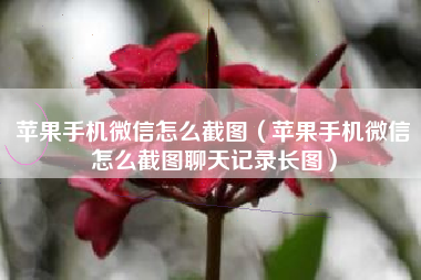 苹果手机微信怎么截图（苹果手机微信怎么截图聊天记录长图）