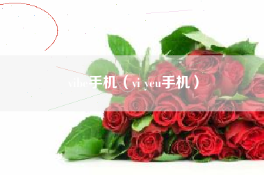 vibe手机（vi yeu手机）