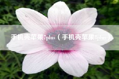 手机壳苹果7plus（手机壳苹果8plus）