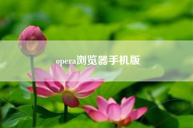 opera浏览器手机版