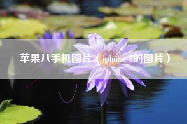 苹果八手机图片（iphone 8的图片）